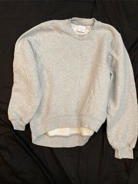 Aritzia Light Heather Gray Crewneck Sweatshirt